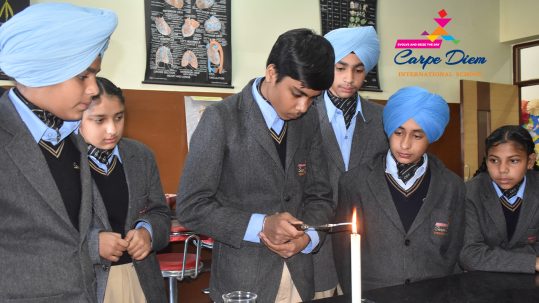 Schools in Rajpura